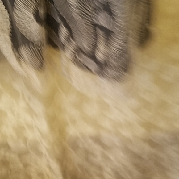 Carolina Hererra semi formal dress - Picture 10 of 11